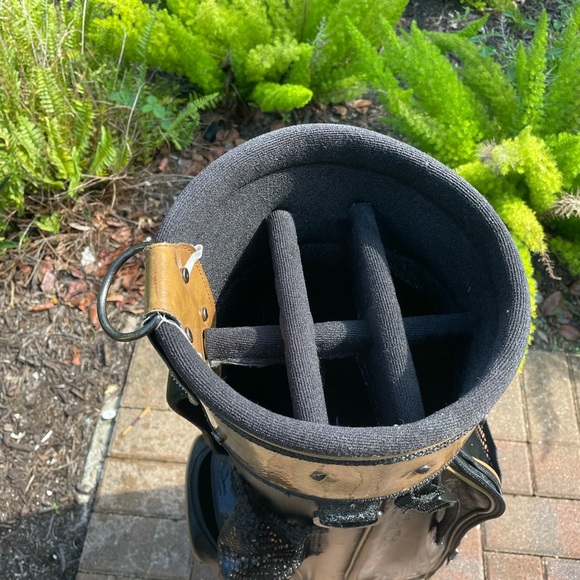 cart bag Gold Eagle 
With club dividers - Picture 7 of 9